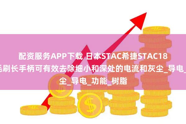 配资服务APP下载 日本STAC希捷STAC18静电除尘毛刷长手柄可有效去除细小和深处的电流和灰尘_导电_功能_树脂
