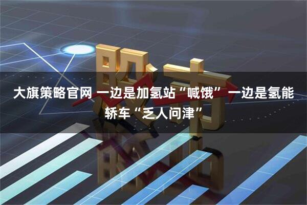 大旗策略官网 一边是加氢站“喊饿” 一边是氢能轿车“乏人问津”