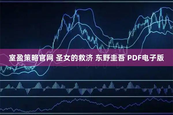 室盈策略官网 圣女的救济 东野圭吾 PDF电子版